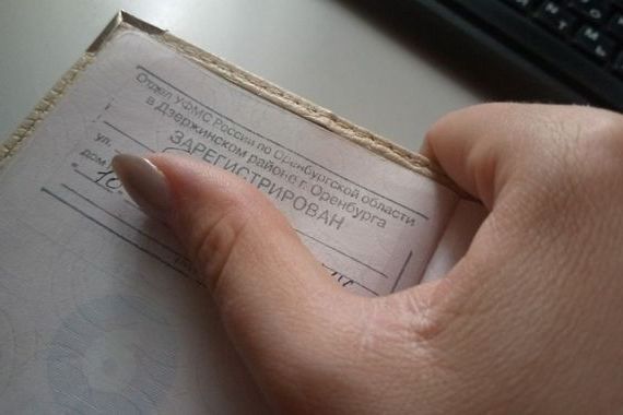 прописка в Нелидово